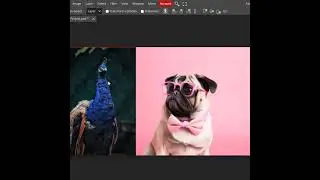 Use of Move Tool in Photopea 