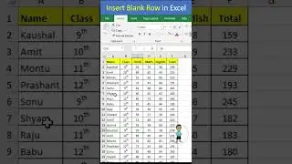 Insert Row and Column in Excel 