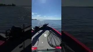 ДЕЛЬФИН на лодке. Как это выглядит