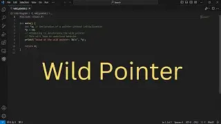 What is wild Pointer in C. #pointer #cprogramming #gcc