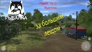 Тут лещ есть иль нет? Ловим на Р.Вьюнок.СТРИМ Русская рыбалка 4.