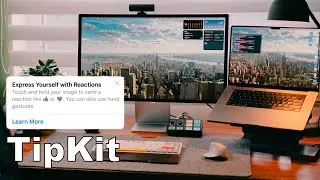 SwiftUI iOS App Development - TipKit implementation | co-working  LIVE 🔴