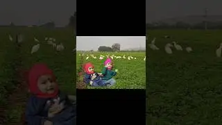 Shanmuk 😎 