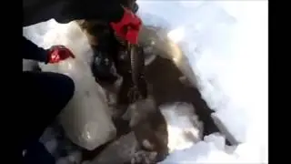 ЛУЧШИЙ СПОСОБ ЛОВЛИ РЫБЫ  Эксклюзивное видео!