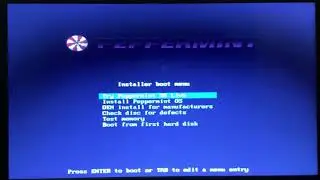 Peppermint OS 10: Installation Feezes - Workaround