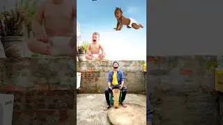 Flying Crying babies catching vs Gorilla vs dog & elephant - Funny vfx magic 😄