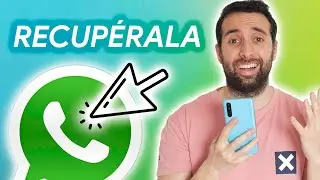 CUENTA de Whatsapp ROBADA, ¿QUÉ HAGO?