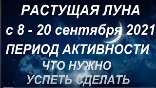 Растущая луна с 8 - 20 сентября 2021. Что нужно успеть сделать. Чего не нужно делать...