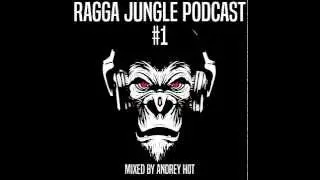 Ragga Jungle Podcast #1 mixed by Andrey HoT