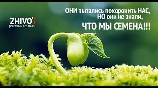 👨Живой/НеЖивой😲 1 Причины и последствия выхода костяка Живых мужчин и женчин из Профсоюза Союз ССР