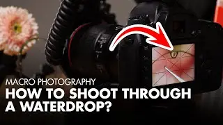 How To Shoot Through a Waterdrop? | Macro Photography