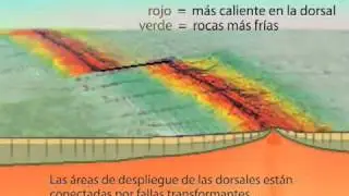 Falla Transformante