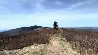 Virtual Run: Grassy Ridge on Roan Mountain