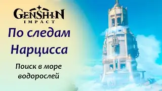 Genshin Impact. Поиск в море водорослей - По следам Нарцисса - Кто такая Мари Анн? - Фонтейн 4.2