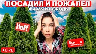 ОШИБКИ живой изгороди🤷‍♀️ НЕЛЬЗЯ так сажать!