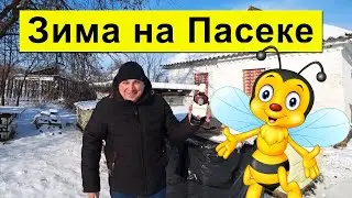Зима на Пасеке 2021