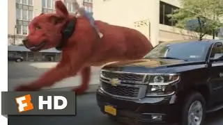 Clifford the Big Red Dog (2021) - Cliffords Car Chase Scene (9/10) | Movieclips