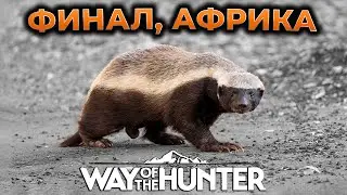 WAY OF THE HUNTER ПРОХОЖДЕНИЕ ► НОВАЯ КАРТА TIKAMOON PLAINS - АФРИКА ► СИМУЛЯТОР ОХОТЫ ► RTX 4090 #3