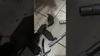 ТРЕШ НА СТО ❗