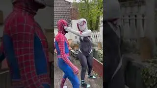 can i get spidergwen? 
