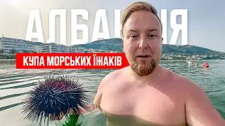 🇦🇱 Албанія 2024. Вльора. Купа морських їжаків! Пляжі біля морського променаду
