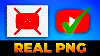 How to Easily Download Only PNG Files (Simple Guide)