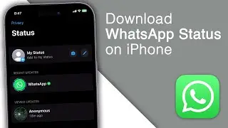 How to Download/Save WhatsApp Status on iPhone! [2023]