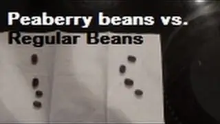 Peaberry vs. Traditional Coffee Beans