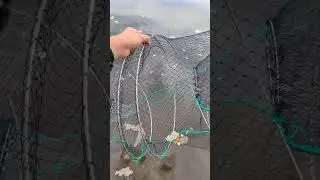 Ловили на такую? Не работает #рыбалка #fishing