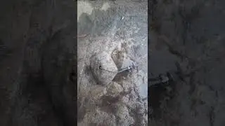 Вдруг украдут ещё🤗