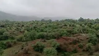 Weather Update Today | Rainy Weather | Watch Till End | Punjab Weather 