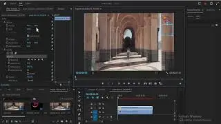 How To Remove Logo from Any video in Adobe Premiere pro - Tutorial