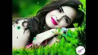 Romantic whatsapp status || Romantic Old song status || Romantic Bollywood Song|| #new_status_2022