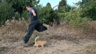 Walking Qigong: Stretch Toe Step (Cat steals the show!)