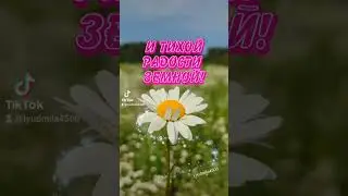 Доброе утро !🌺☕Хорошего дня !😊💛#доброеутро #пожелания #пожеланиедлядрузей #лето
