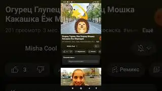 Реакция покарация на Misha Cool