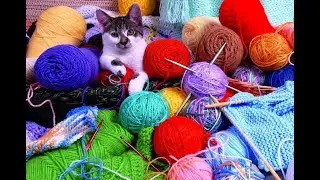 DIY. Уф, я его довязала. Длинный полосатый кардиган с капюшоном.