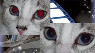 КАК УБРАТЬ ЭФФЕКТ КРАСНЫХ ГЛАЗ НА ФОТО с помощью Sony Vegas Pro 13. Урок 23