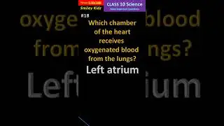 Heart Chambers Class 10 Science Important Question (18) #shorts #ytshorts #class10 #ytshorts #viral