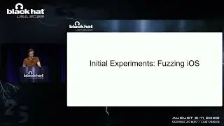 Catch Me If You Can: Deterministic Discovery of Race Conditions with Fuzzing