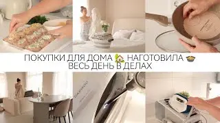 ПОКУПКИ ДЛЯ ДОМА🏡 НАГОТОВИЛА 🍲ПОЧИСТИЛА ДИВАН 🧺 ДОМАШНИЕ ХЛОПОТЫ