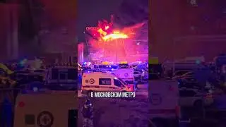 ТЕРРАКТ В КРОКУС СИТИ ХОЛЛ ПОСЛЕДНИЕ НОВОСТИ