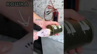 Делай это, что бы не навредить уличным животным.