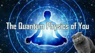 The Quantum Physics inside YOU