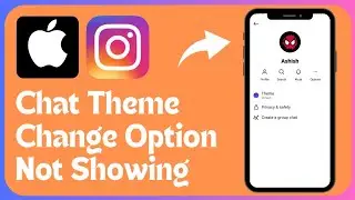 How to Fix Instagram Chat Theme Change Option Not Showing on iPhone iOS 18