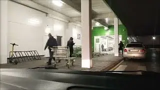 Придорожная аллея. Выборгский район. Санкт - Петербург