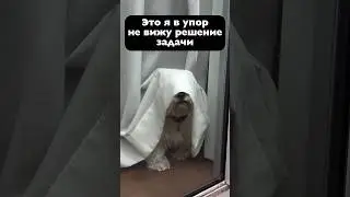 Как решать задачи 