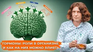 Гормоны – химические посланники эндокринной системе