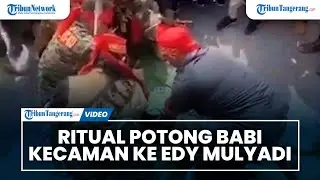 Masyarakat Adat Dayak Gelar Ritual Potong Babi Bentuk Kecaman Untuk Edy