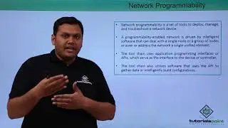 Network Programmability